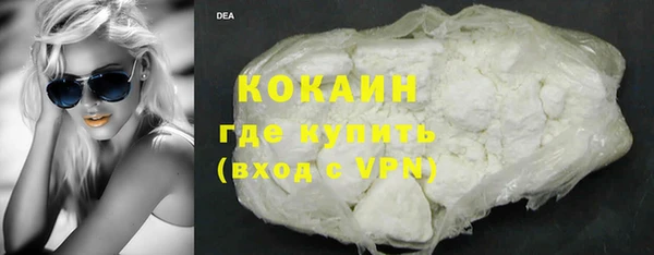 круглые Гусев