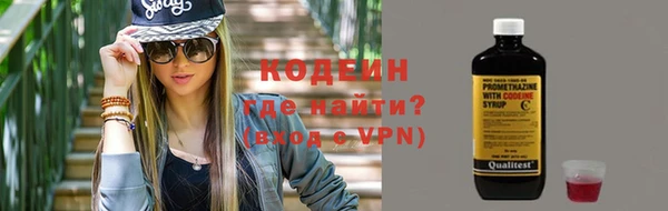 круглые Гусев