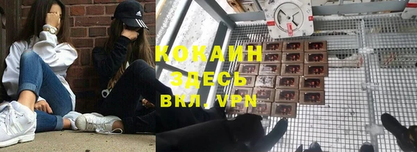 круглые Гусев