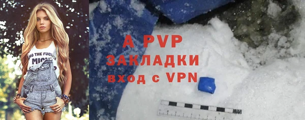 круглые Гусев